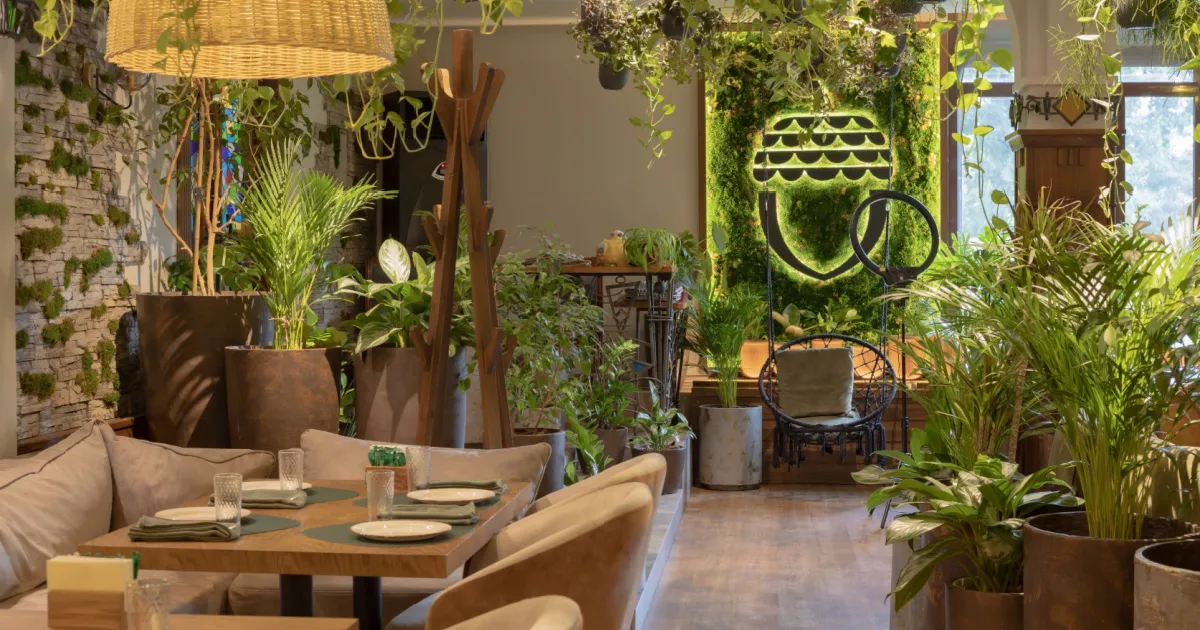 ナチュラルな内装のカフェイメージ画像